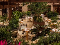 The Ritz-Carlton Coconut Grove, Miami 