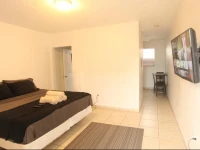 Ace in Wynwood Studio Apartments 
