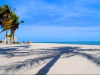 Key Biscayne Apartments 