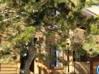 Snowbird Condos at Mammoths Canyon Lodge 
