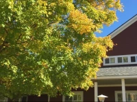 The Stamford Motel & Restaurant 