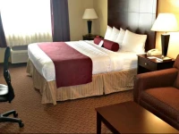 Best Western Plus Mansfield Inn and Suites 