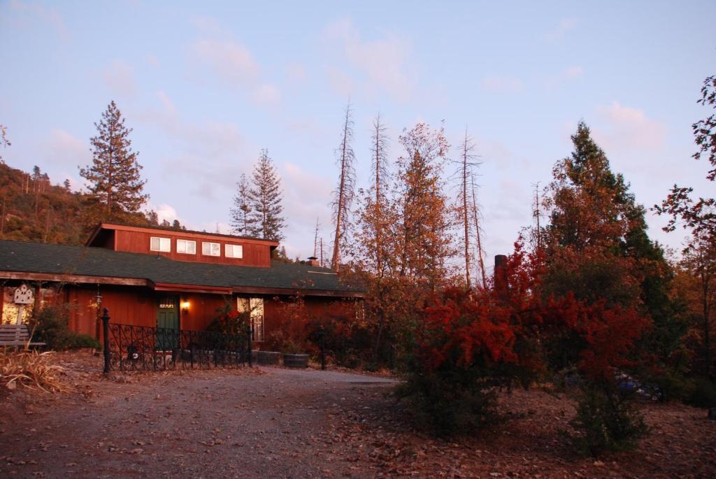 Sunny Pines Cottage 