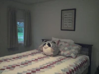 Ice Fish Inn 3*