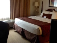 Best Western Hazleton Inn & Suites 