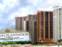 Palmetto Vacation Rentals 