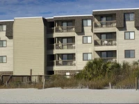 Ocean Forest Colony 