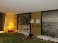 Mitchell Super 8 