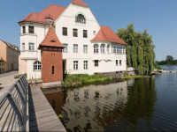 Fewo auf der Dominsel - SEEROSE