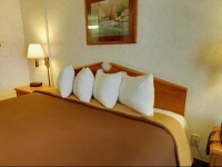Americas Best Value Inn Monee 