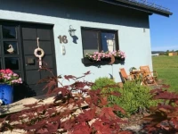 Ferienwohnung Haus Friederike 