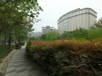 Millennium Hotel Chengdu 5*