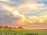 Zion Mountain Ranch 