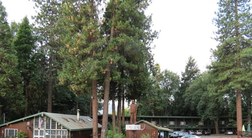 Shasta Inn 
