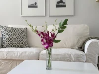 Studio Apartment - 39th Street 