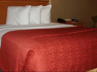 Quality Inn - Newport News 