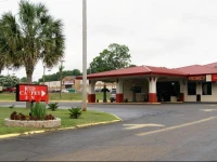 Red Carpet Inn - Natchez 