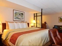 Best Western Plus Murray Hill Inn & Suites 