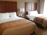 Comfort Inn & Executive Suites Naples