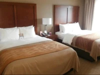 Comfort Inn & Executive Suites Naples 