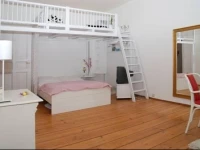 Salon Vert 