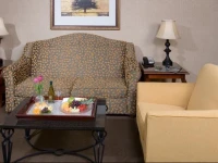 DoubleTree by Hilton Detroit Novi 