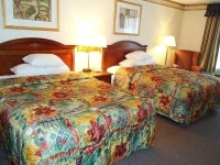 Novi Inn and Suites 