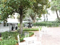 The Magnolia Mansion 