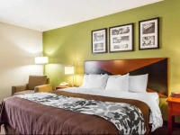 Sleep Inn & Suites Auburn 