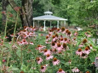 Chestnut Hill Ranch Bed & Breakfast 