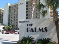 Palms 513 
