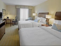 Hilton Garden Inn Orlando Lake Buena Vista 