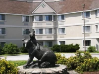 Black Bear Inn Conference Center and Suites 