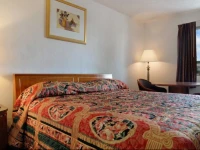 Guest Inn 