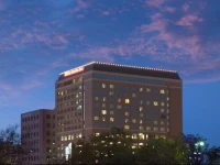 Hilton Garden Inn Austin Downtown 