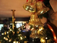 Hotel Schafer 3*