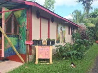 Hedonisia Hawaii Sustainable Community 