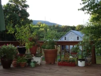 The Clark House Bed and Breakfast 