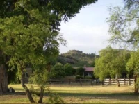 Spirit Tree Inn B&B 