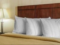 Quality Inn - Pottstown 