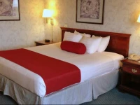 Best Western Executive Inn- Mount Gilead 