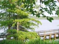 Lake St. John Cottage 