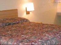 All Star Inn 