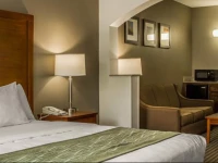 Comfort Inn & Suites Sacramento вЂ“ University Area 