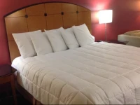 Baymont Inn & Suites Salem Roanoke 