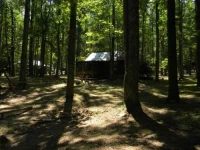Cabin Fever - Saluda 
