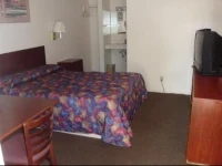 American Motel 