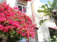 The Bed & Breakfast Inn at La Jolla 