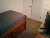 Room In Shared House 