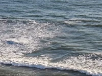 On The Beach Oceana 4*